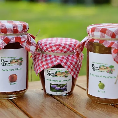 Bauernhof Prato A Baldo