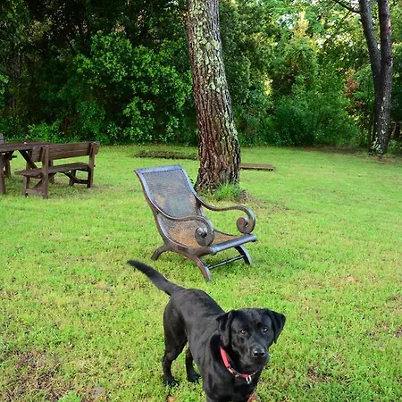 Prato A Baldo Massa Marittima