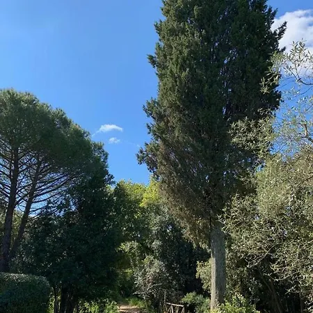 Prato A Baldo Massa Marittima