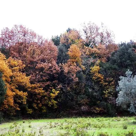 Prato A Baldo Farm stay Massa Marittima