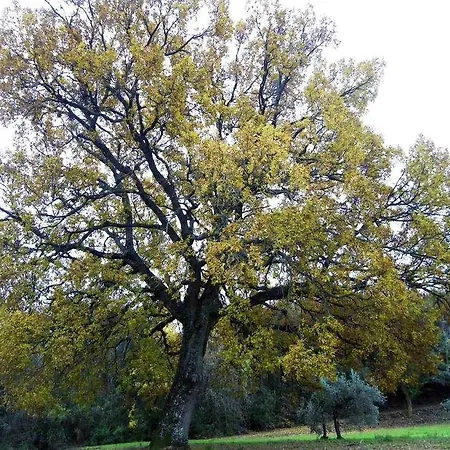 Farm stay Prato A Baldo