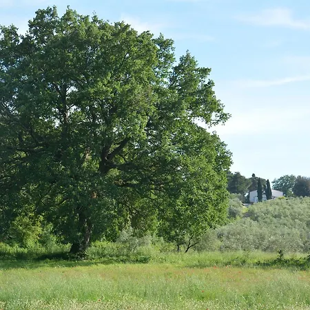 Prato A Baldo Farmház *
