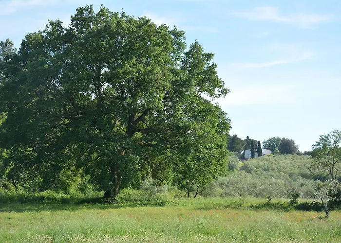 Prato A Baldo Farmház *