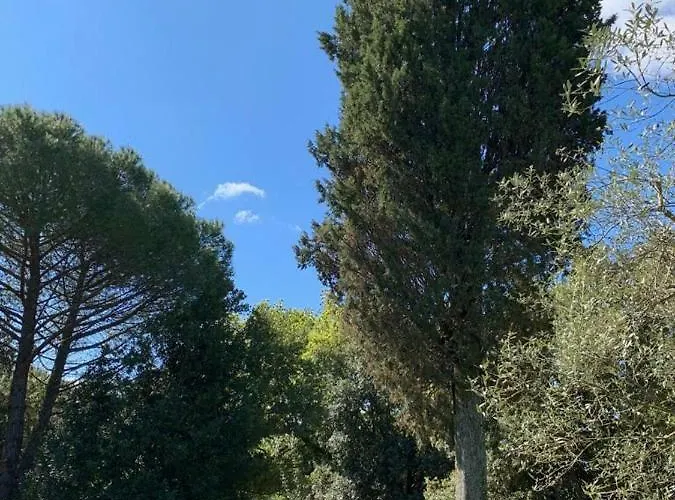 Prato A Baldo Massa Marittima